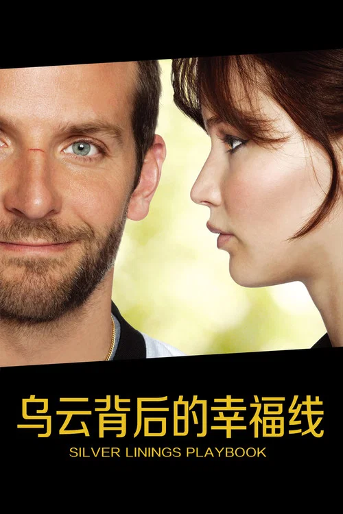 烏雲背後的幸福線(2012)海報