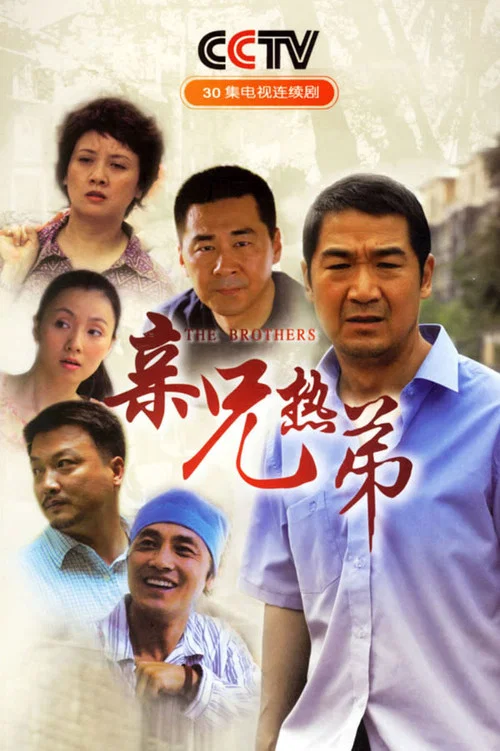 亲兄热弟(2007)海报