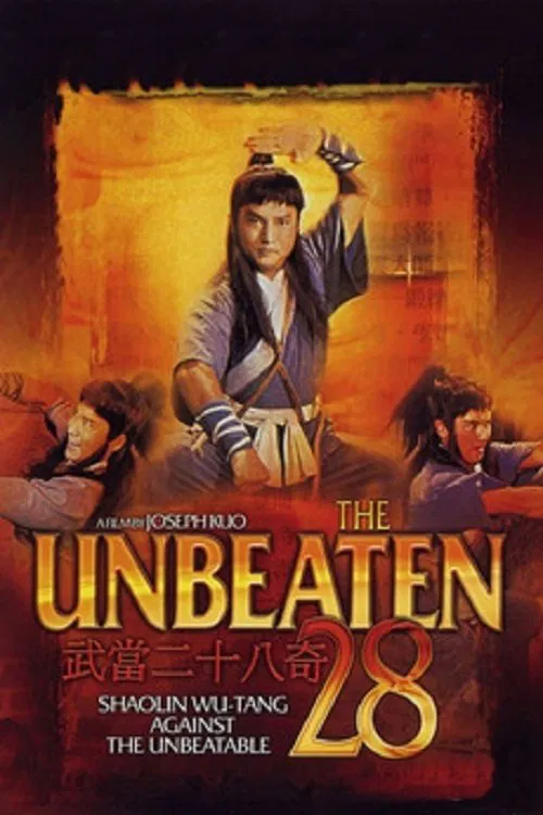 武当二十八奇海报
