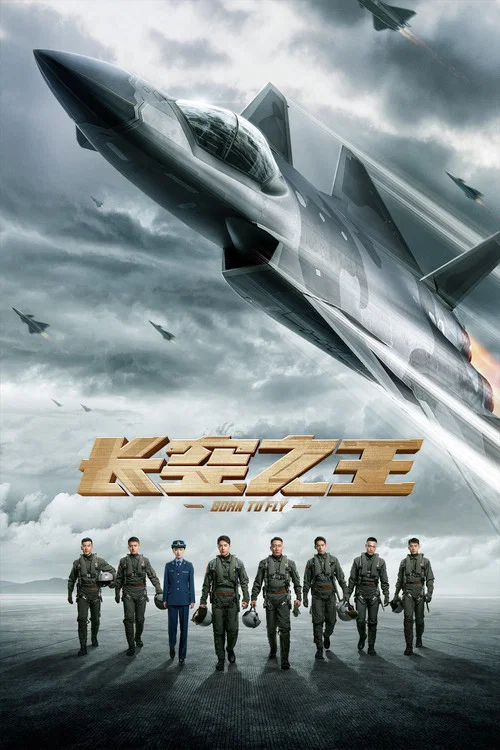 長空之王劇照10
