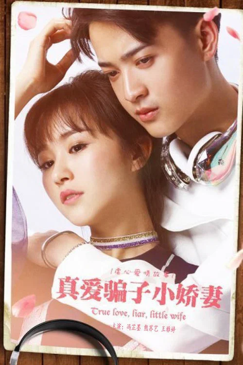 真愛騙子小嬌妻(2017)海報