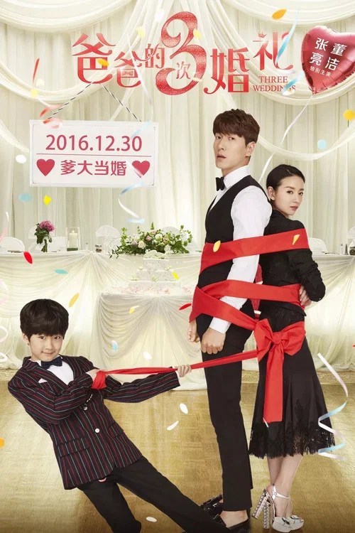 爸爸的3次婚礼(2016)海报
