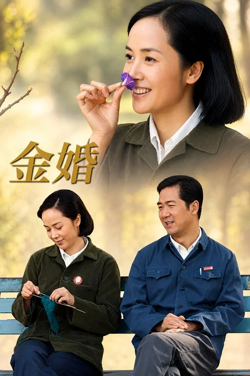 金婚2007(2007)海报