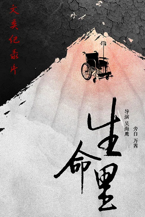 生命里(2018)海报