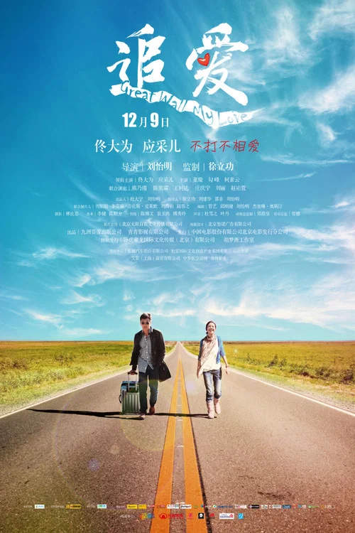 追愛(2011)海報