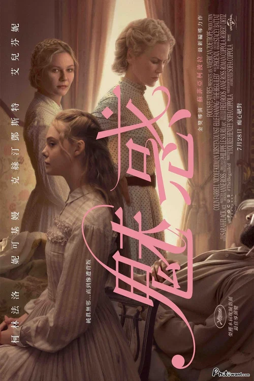 牡丹花下(2017)海报
