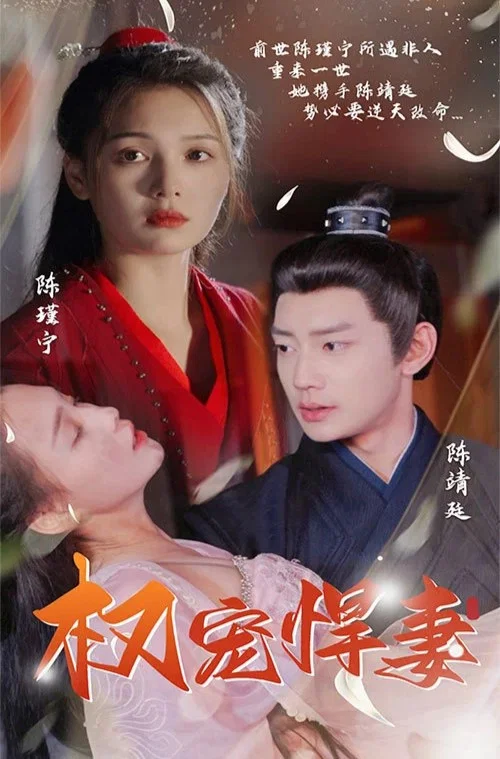 权宠悍妻(2023)海报