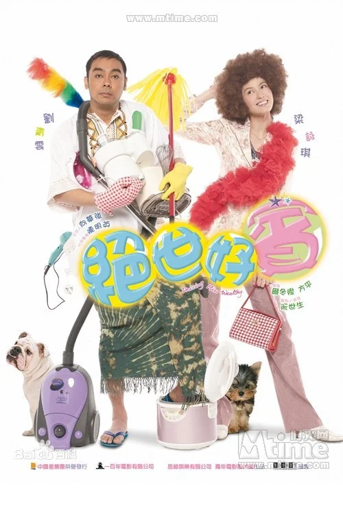 绝世好宾(2004)海报