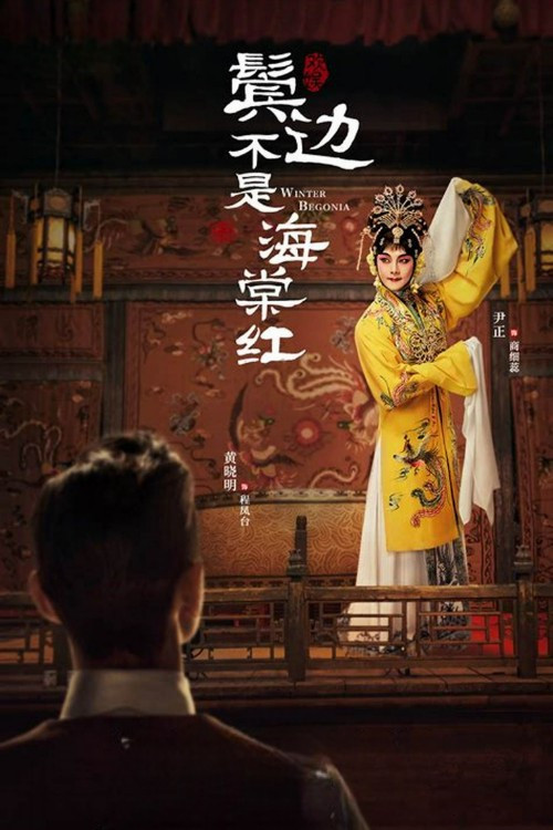 海棠不是鬓边红剧照4