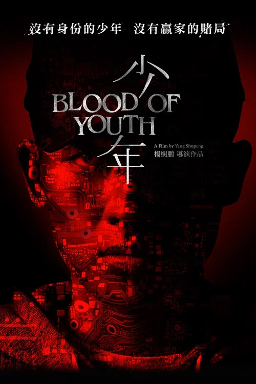 少年(2016)海报