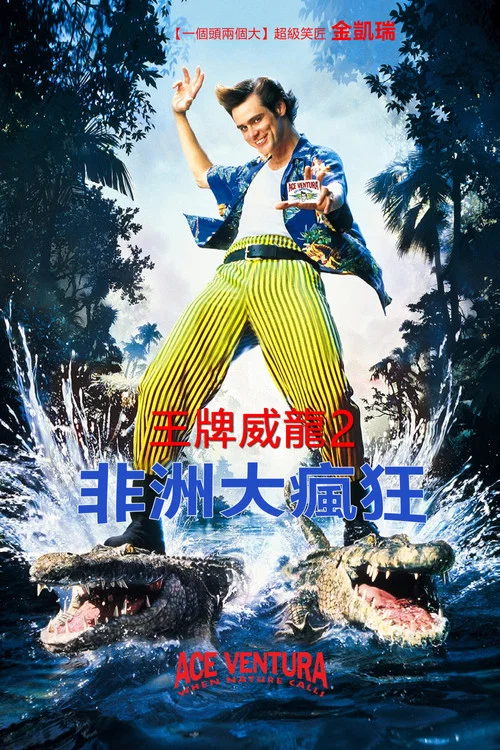神探飛機頭2(1995)海報