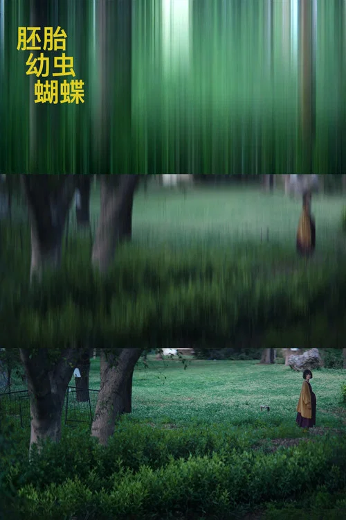 胚胎,幼蟲,蝴蝶(2024)海報