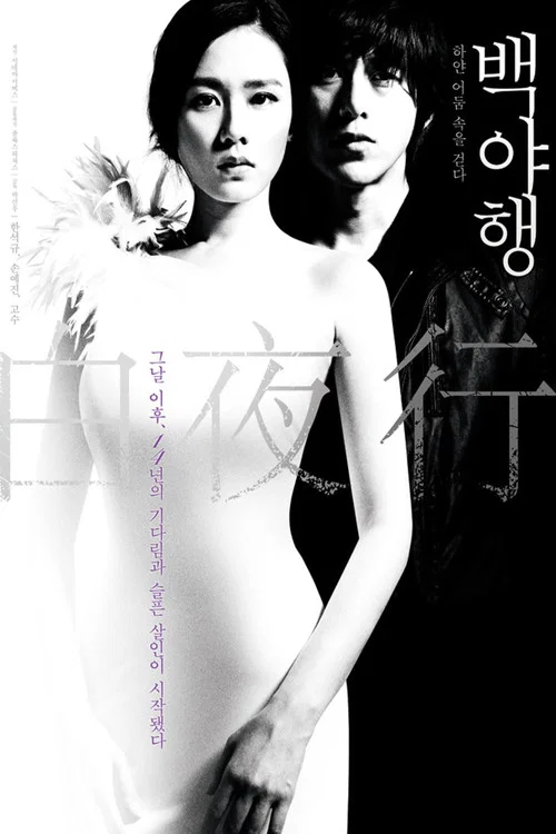 白夜行2009(2009)海報