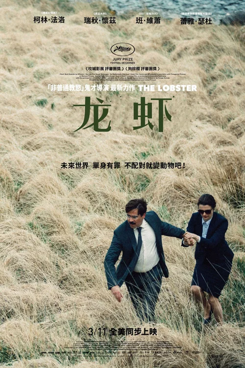 龙虾(2015)海报