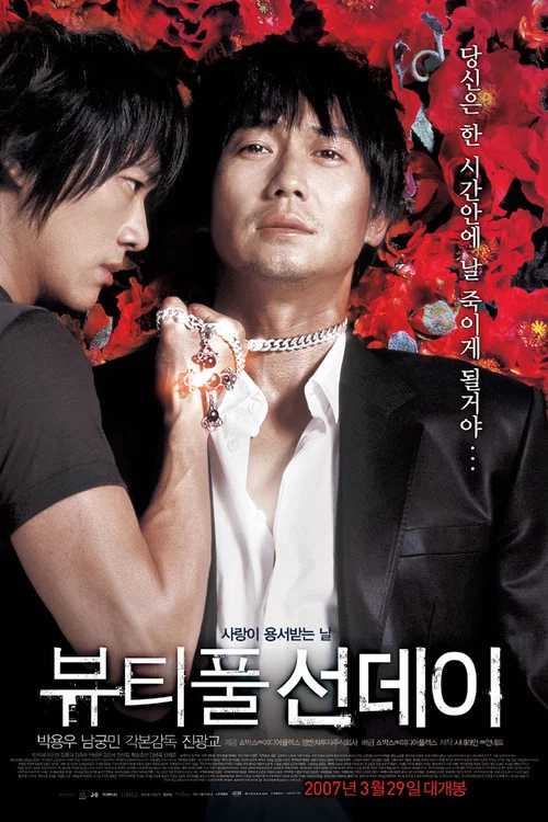 美麗的星期天(2007)海報