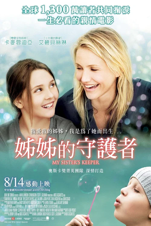 姐姐的守護者(2009)海報