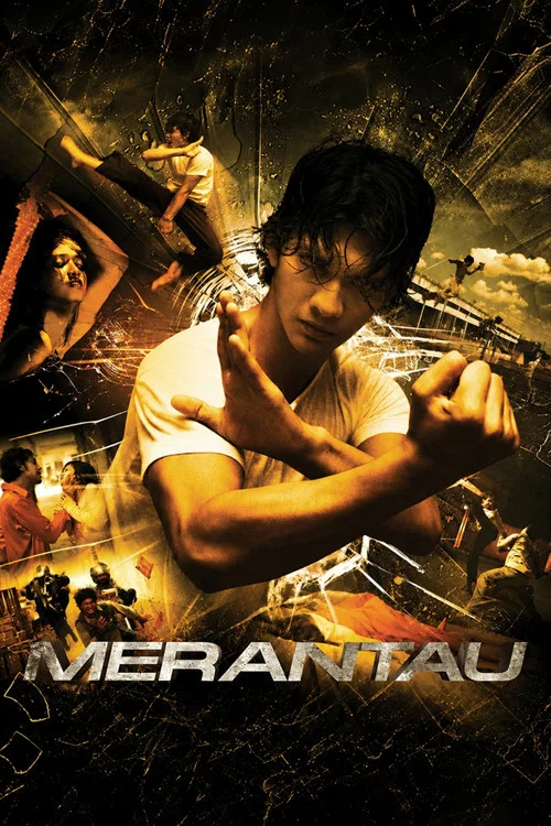 精武战士(2009)海报