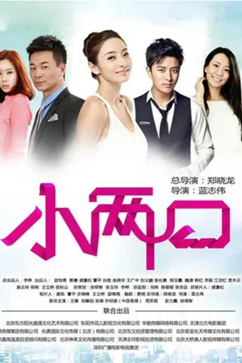 小兩口(2013)海報