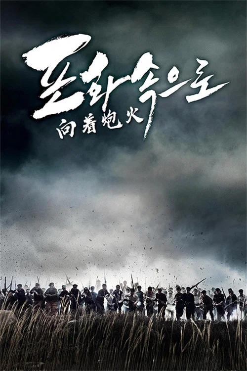 向著炮火(2010)海報