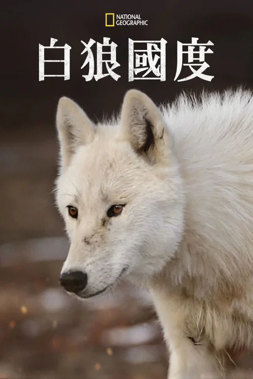雪狼王國(2019)海報