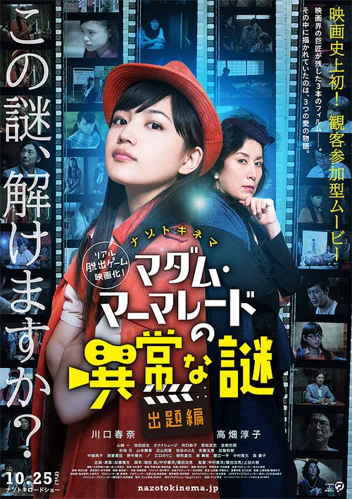 特别难解之谜出题篇(2013)海报