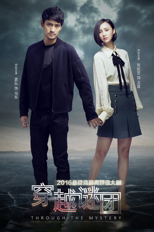 穿越谜团(2016)海报