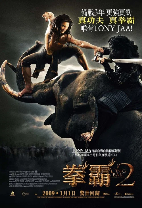 拳霸2(2008)海报