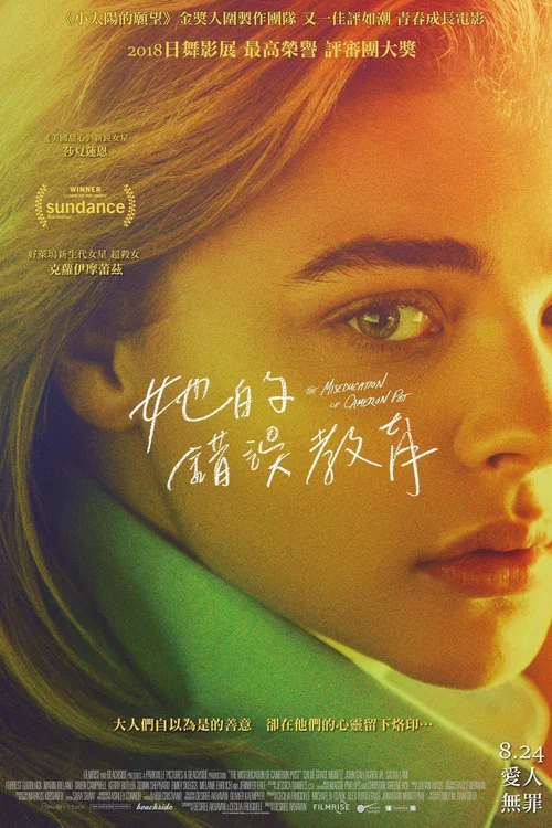 错误教育(2018)海报