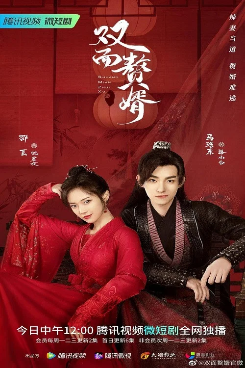 雙面贅婿劇照2