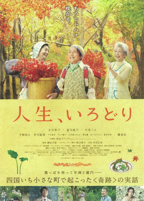 多彩人生(2012)海報