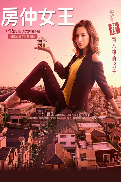 賣房子的女人(2016)海報