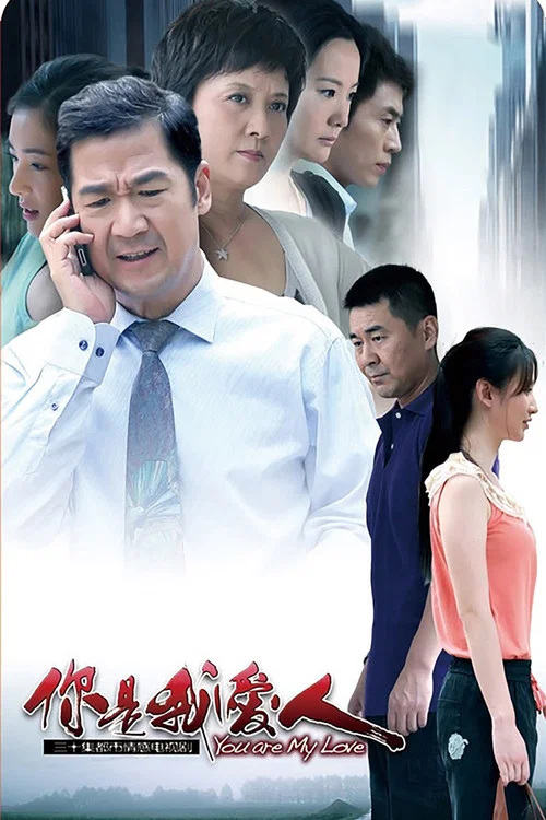 你是我爱人(2012)海报