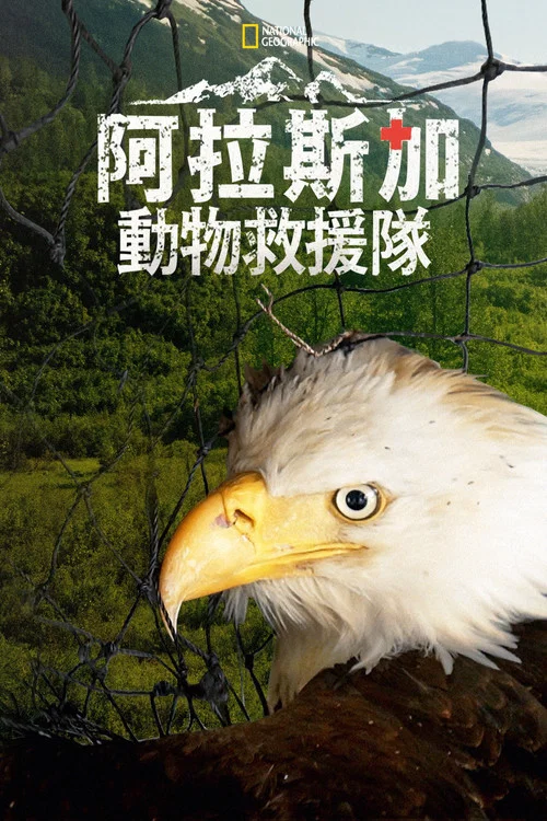 野生动物救援(2020)海报