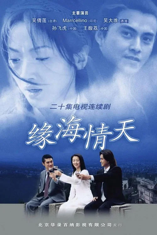 緣海情天(2012)海報