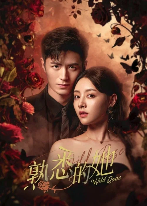 熟悉的她(2025)海報