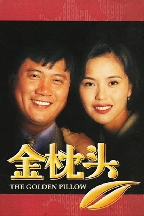 金枕头海报