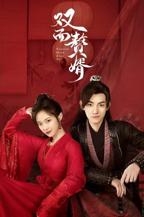 雙面贅婿第2季(2022)海報
