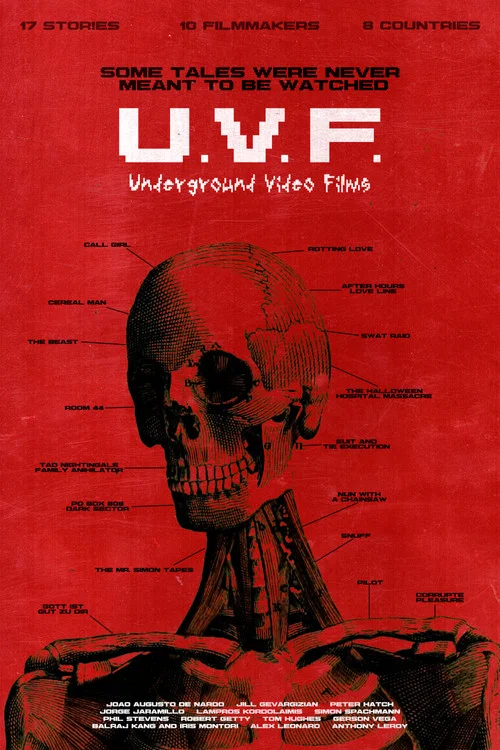 UVF:地下录像电影(2026)海报