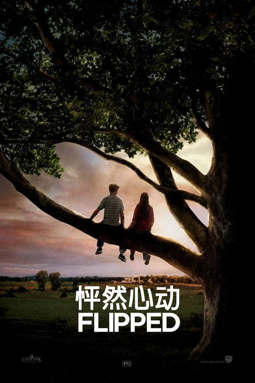 怦然心动(2010)海报