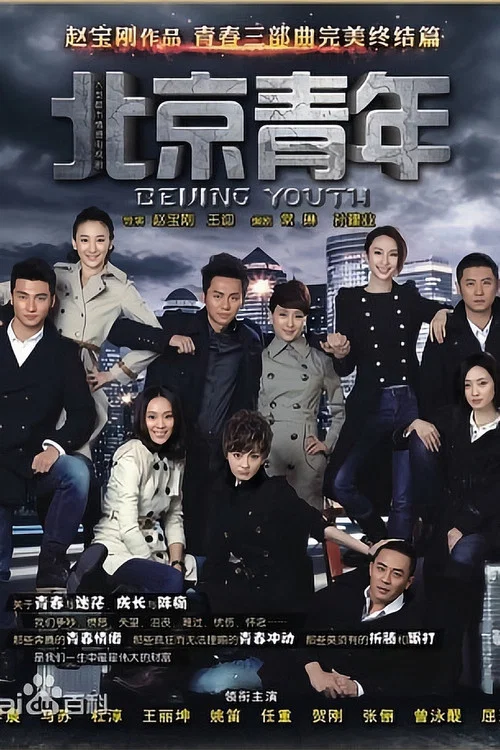 北京青年(2012)海报