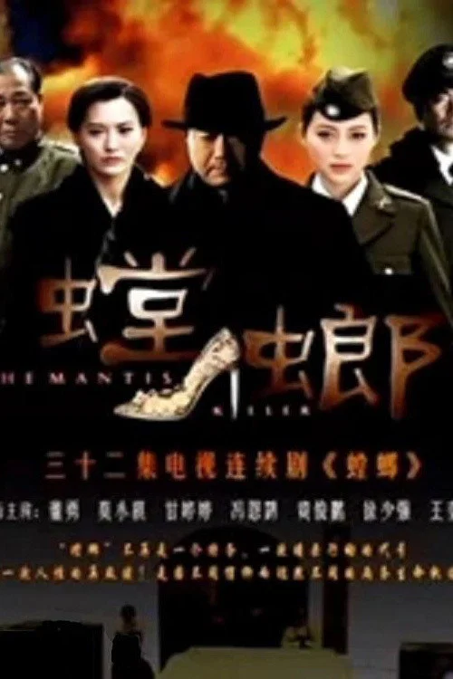 螳螂2011(2011)海報
