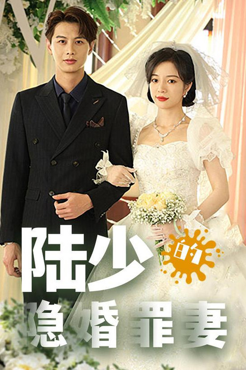 陆少的隐婚罪妻(2023)海报