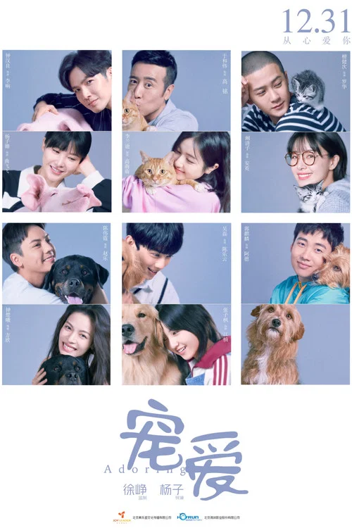 寵愛(2019)海報