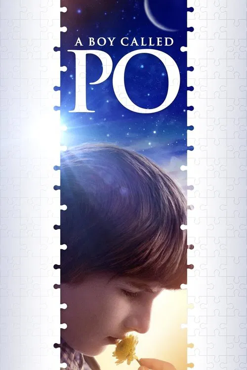 一個叫阿寶的男孩(2016)海報