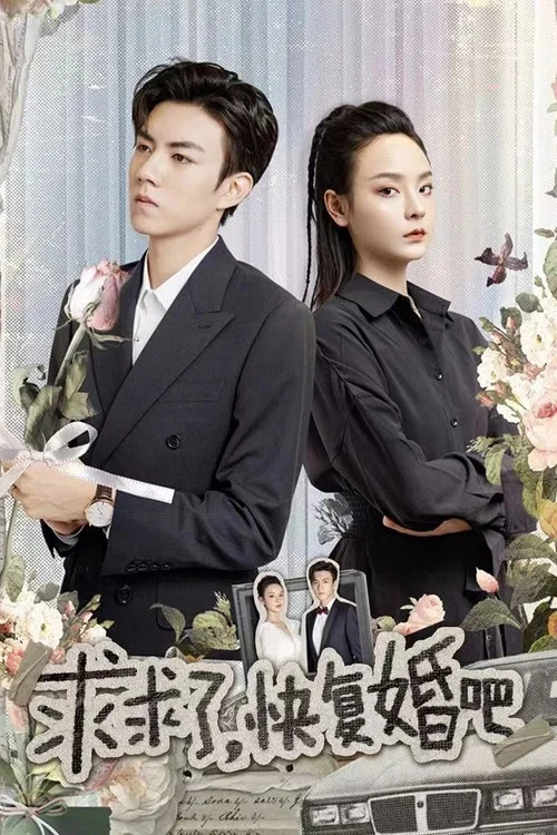 求求了,快复婚吧(2023)海报