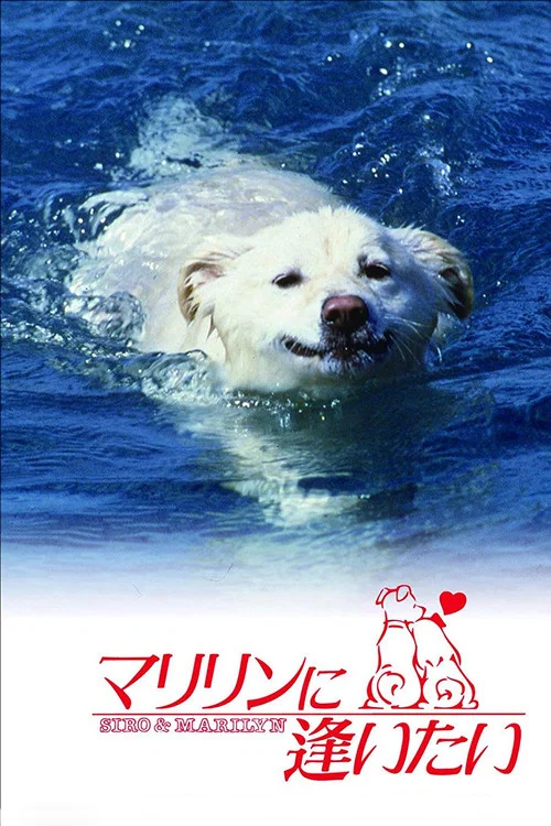 想见玛丽琳(1988)海报