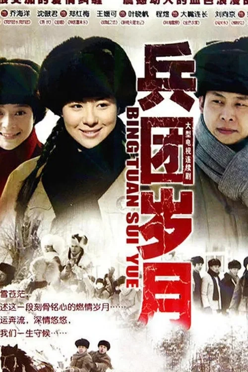 岁月(2010)海报