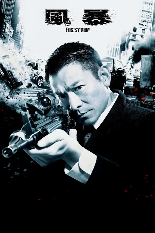 風暴粵語(2013)海報