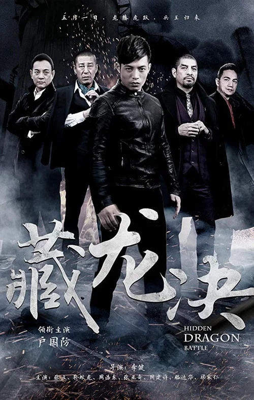 臥虎悍將(2017)海報