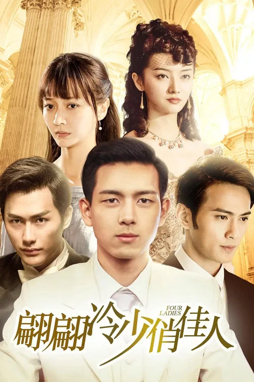翩翩冷少俏佳人(2016)海報